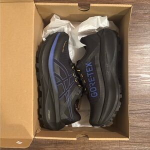 Asics Fujisetsu Max GoreTex